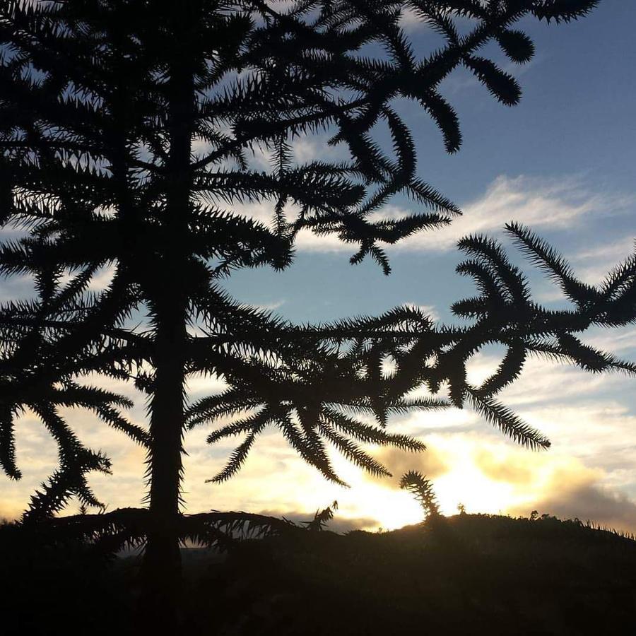 Caminho Do Sol Villa Monte Verde  Dış mekan fotoğraf